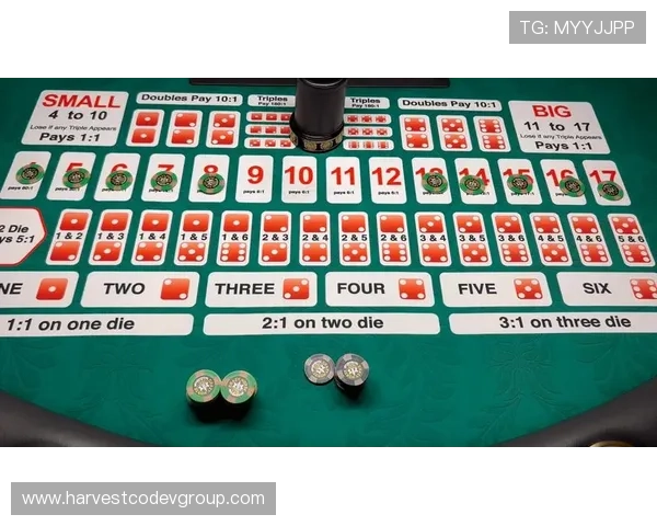 揭秘AG国际百家乐官网的安全保障措施,保障您的资金与信息安全